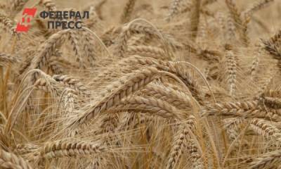 Минсельхоз России предложил увеличить пошлину на пшеницу