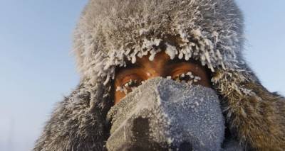 Синоптики прогнозируют рекордные морозы в Латвии