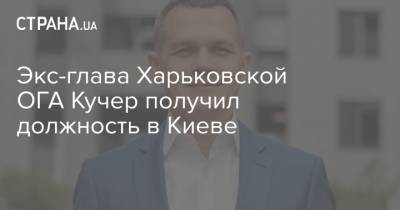 Экс-глава Харьковской ОГА Кучер получил должность в Киеве