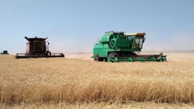 США ждут возвращения России в лидеры по экспорту пшеницы