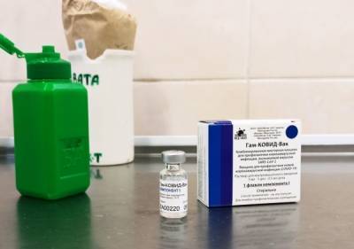 В РФПИ рассказали о планах по поставкам вакцины «Спутник V» в Бразилию