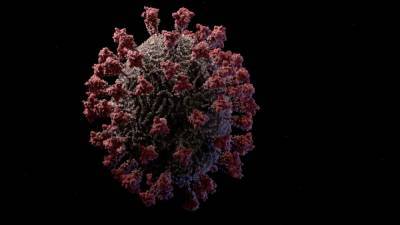 Ученые выявили фактор, определяющий степень тяжести коронавируса
