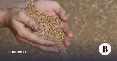 Минсельхоз предложил увеличить пошлины на экспорт зерновых