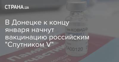В Донецке к концу января начнут вакцинацию российским "Cпутником V"