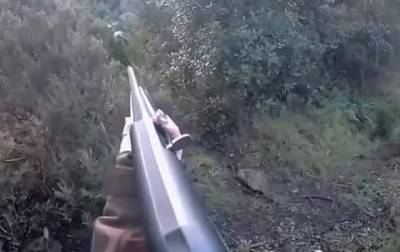 В Италии охотница отбивалась от кабана ружьем