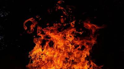 В Хабаровске двое детей и трое взрослых погибли на пожаре