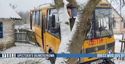 Фотофакт. В Брестском районе в аварию попал школьный автобус с детьми