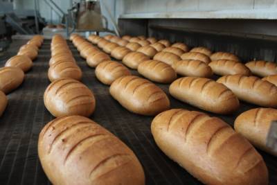 Цены на хлеб значительно вырастут: как изменится стоимость в этом году
