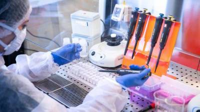 Ученые Крыма получат 210 млн на развитие генетики и биотехнологий