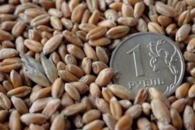 Эксперт: От ужесточения экспортных пошлин на зерно пострадает АПК России