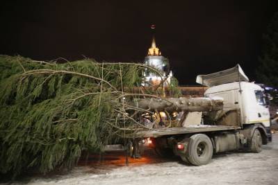 В Екатеринбурге впервые можно сдать на переработку новогодние елки