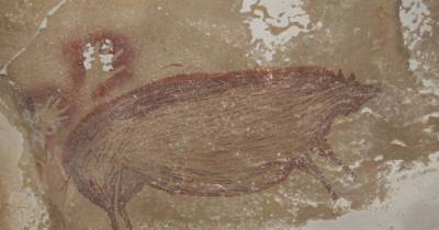 Это свинья: в Индонезии обнаружили древнейшее в мире изображение животного - focus.ua - Индонезия