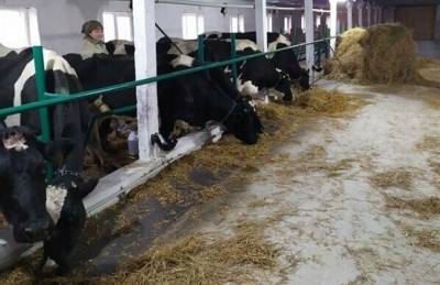 На Житомирщине создана первая молочная семейная ферма