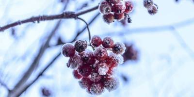 Погода в Украине резко изменится: синоптик рассказал, где будет холодно и выпадет много снега
