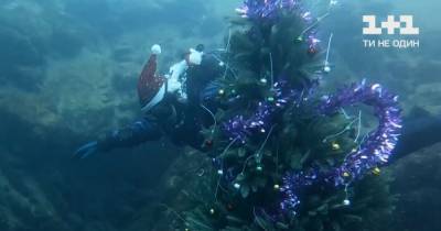 Старый Новый год под водой: дайверы в Днепропетровской области установили елку на глубине 32 метра