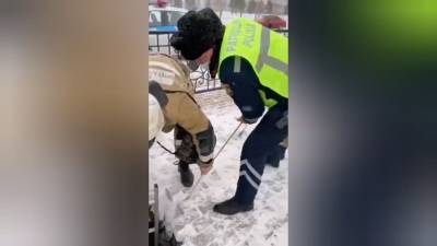 Женщину в Казахстане спасли после падения в канализационный люк.