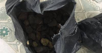 В Ровенской области задержали 2 десятка янтарекопателей