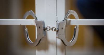 В Житомирской области задержали двух мужчин, которые продавали в Азию янтарь