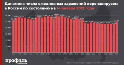 В России за сутки выявили 24763 новых случая COVID-19