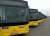 Мэр Львова советуется с горожанами: этично ли покупать белорусские автобусы