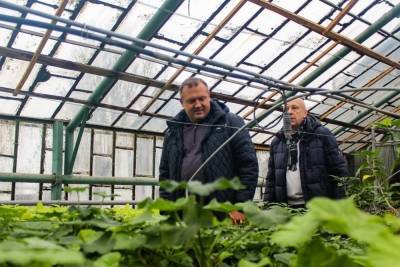 В Донецке готовятся к высадке 300 000 цветов