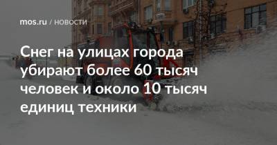 Петр Бирюков - Снег на улицах города убирают более 60 тысяч человек и около 10 тысяч единиц техники - mos.ru - Москва