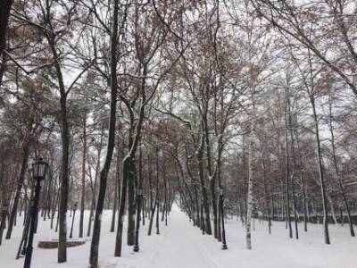 В Башкирии из-за необычного потепления ждут метель и снегопады