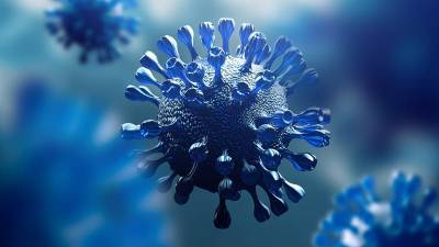 В США выявлены два новых штамма коронавируса