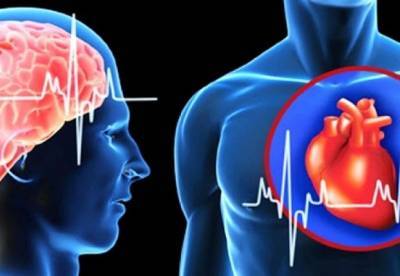 Ученые выяснили, как можно предсказать инфаркт или инсульт