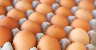 Одна из главных причин подорожания яиц - давление НАБУ на одного из крупных производителей