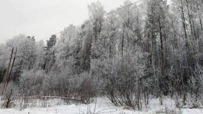 В Московской области начали разработку снежных хранилищ