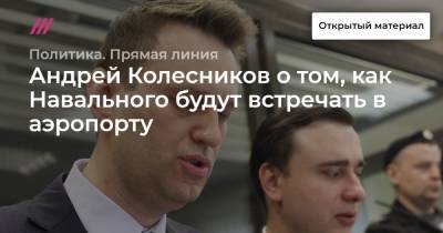 «Площадь переедет во „Внуково“»: Андрей Колесников о том, как Навального будут встречать в аэропорту