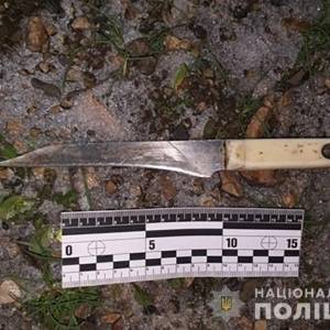 В Запорожской области мужчина напал с ножом на бывшую жену