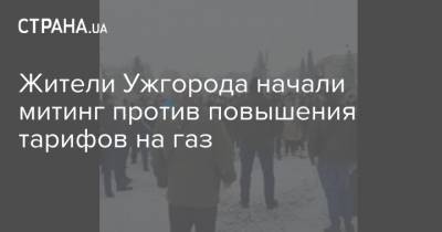 Жители Ужгорода начали митинг против повышения тарифов на газ