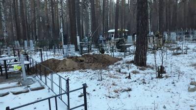 Челябинский депутат требует закрыть кладбище в городском бору
