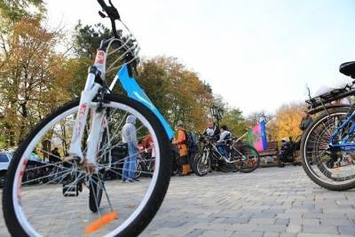 Велотерренкур позволит увеличить число субъектов малого бизнеса на 17%