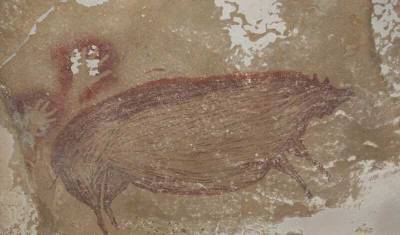Фото дня: в Индонезии нашли древнейший рисунок животного на скале