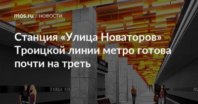 Станция «Улица Новаторов» Троицкой линии метро готова почти на треть