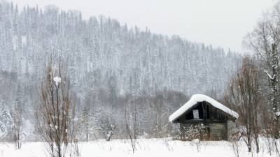 Снежные хранилища развернули на территории Подмосковья
