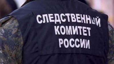 СК возбудил новое дело в отношении экс-совладельца "Промсвязьбанка" Ананьева