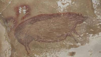 На острове Сулавеси открыли самый древний в настоящее время рисунок человека: это изображение дикого кабана возрастом 45,5 тыс. лет