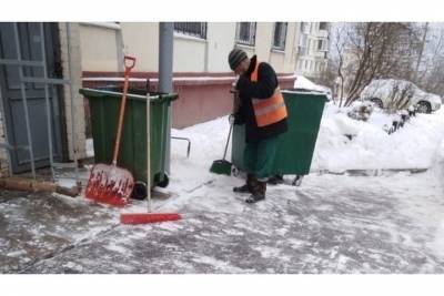 Несколько десятков дворников убирают снег в Пущино