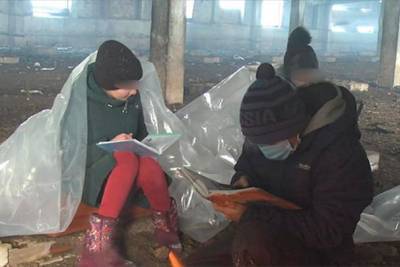 В Башкирии школьникам, которые ходили «учиться» в коровник, провели интернет - bash.news - Башкирия - район Куюргазинский