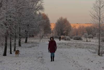 Петербуржцев предупредили о снеге и морозах до -19 °C в пятницу