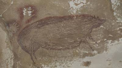 Находка в Индонезии: свинья изображена на древнейшем наскальном рисунке
