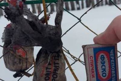 Жительница Новосибирской области купила уголь для печи со взрывчаткой