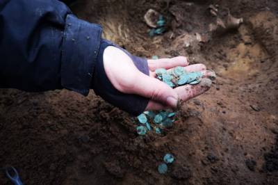 Тысячи монет. Возле столицы Венгрии нашли огромный средневековый клад