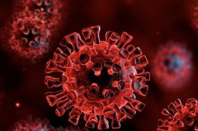 В ОРДО вырос уровень заболеваемости коронавирусом