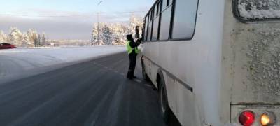 Число ДТП с автобусами в Петрозаводске сократилось за год в два раза