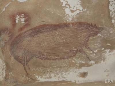 Индонезия - Ученые определили самый древний в мире рисунок животного: изображению свиньи 45,5 тысяч лет - gordonua.com